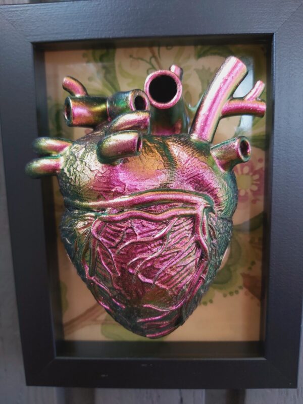Anatomical Heart - Image 5