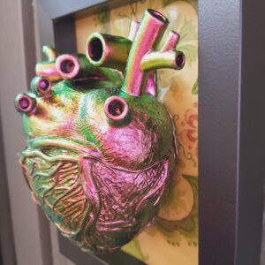 Anatomical Heart