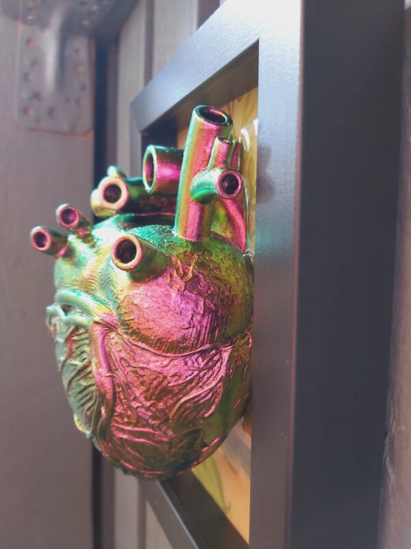 Anatomical Heart - Image 7