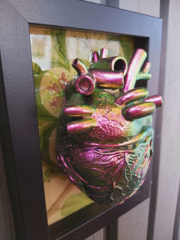 Anatomical Heart - Image 2