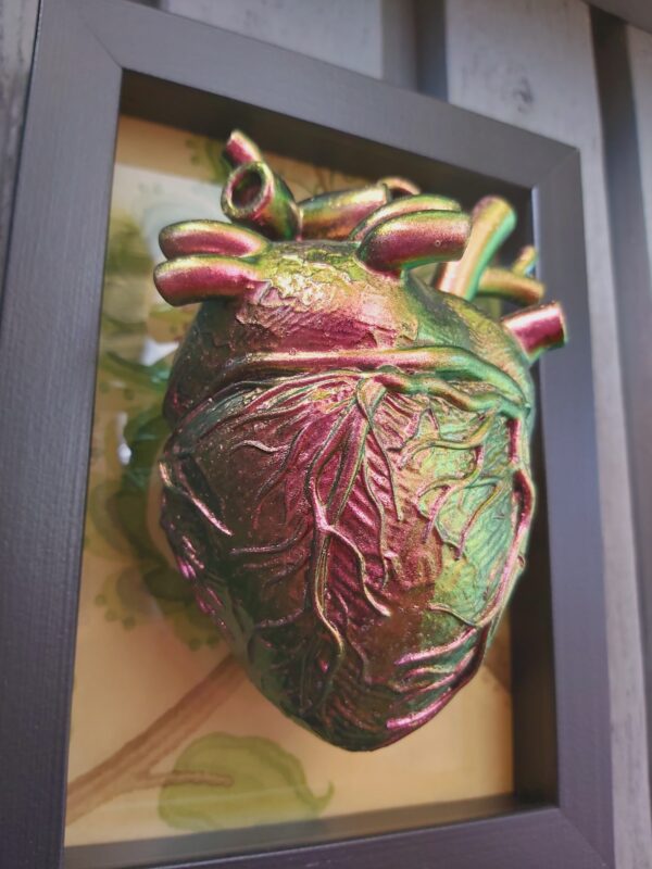 Anatomical Heart - Image 3