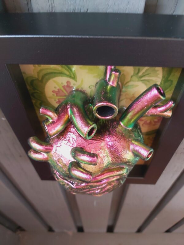 Anatomical Heart - Image 4