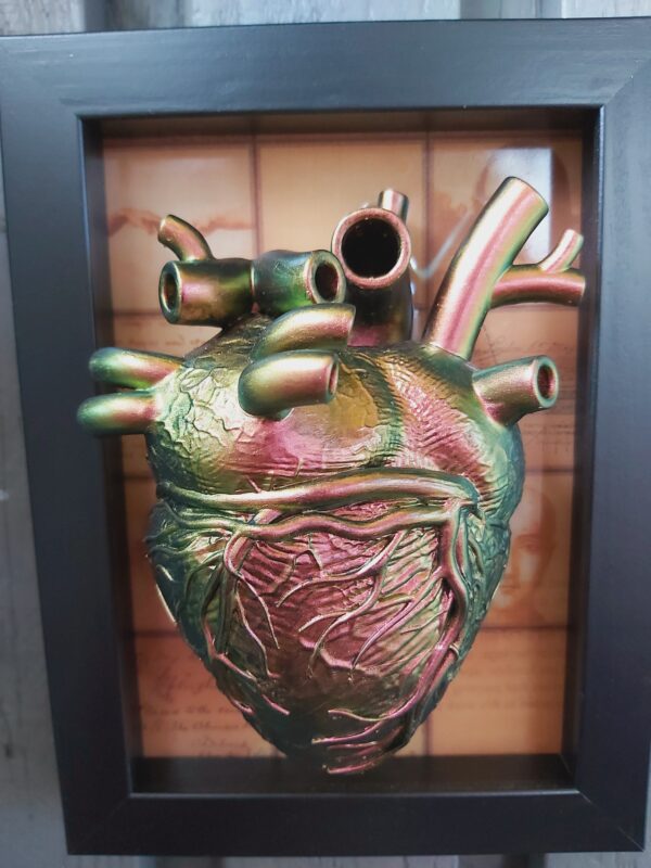 Anatomical Heart - Image 5