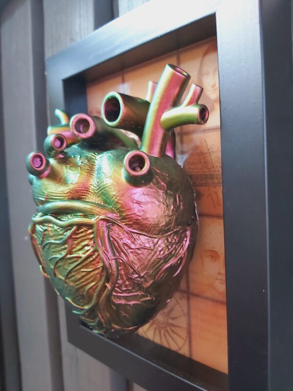 Anatomical Heart - Image 6