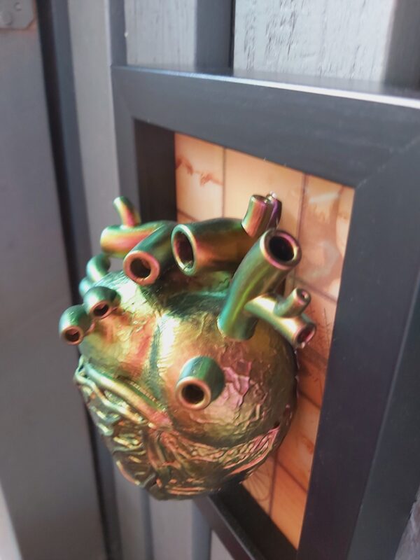 Anatomical Heart - Image 7