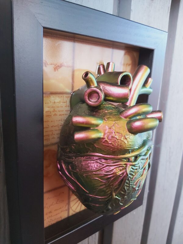 Anatomical Heart - Image 8