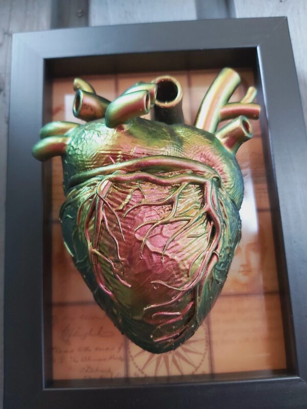 Anatomical Heart - Image 3