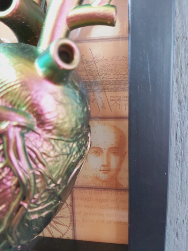 Anatomical Heart - Image 4