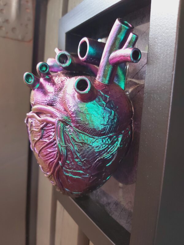 Anatomical Heart - Image 5