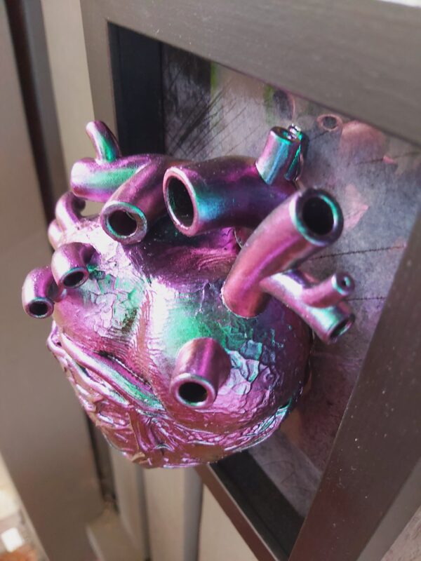Anatomical Heart - Image 6