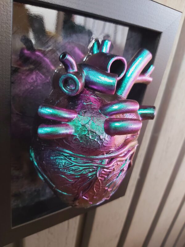 Anatomical Heart - Image 7