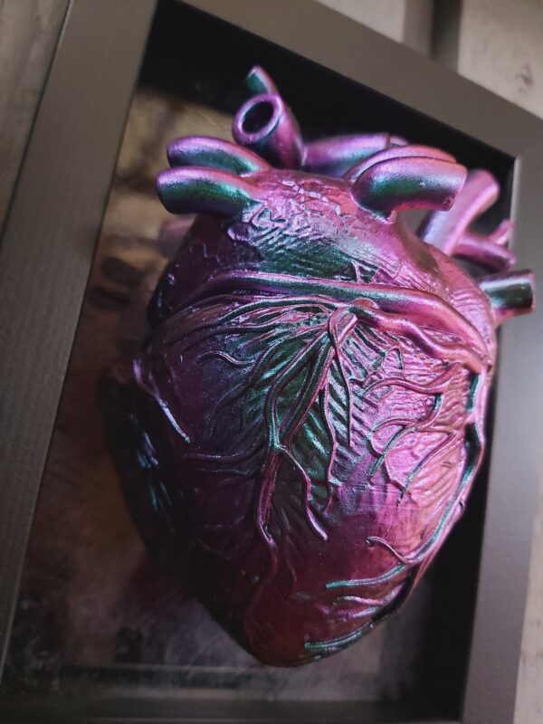Anatomical Heart - Image 2