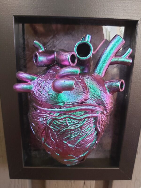 Anatomical Heart - Image 3