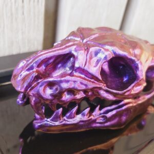 Snake Skeleton Head