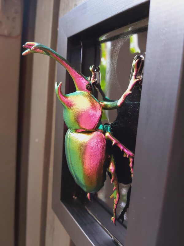 Japanese Rhinoceros Beetle - Image 4