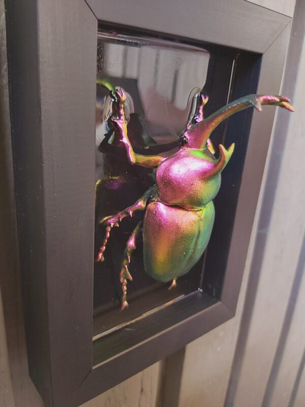 Japanese Rhinoceros Beetle - Image 5