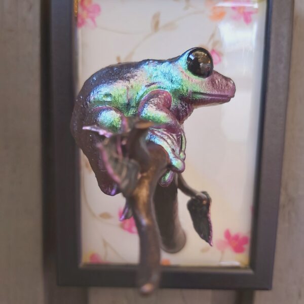 Maroon-eyed frog facing sideways - Image 4