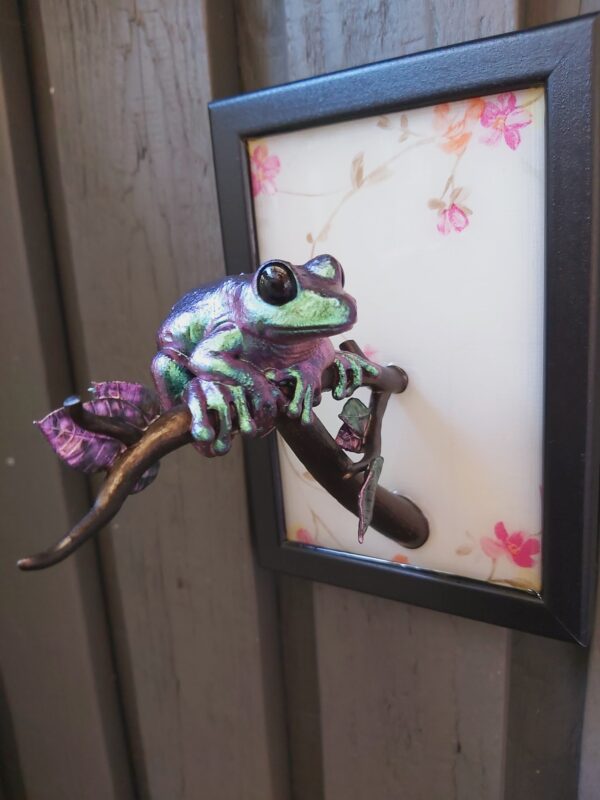 Maroon-eyed frog facing sideways - Image 5