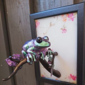 Maroon-eyed frog facing sideways