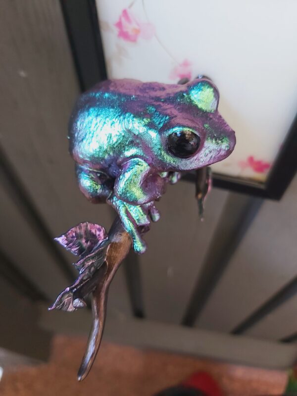 Maroon-eyed frog facing sideways - Image 7