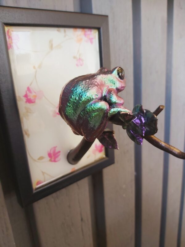 Maroon-eyed frog facing sideways - Image 8