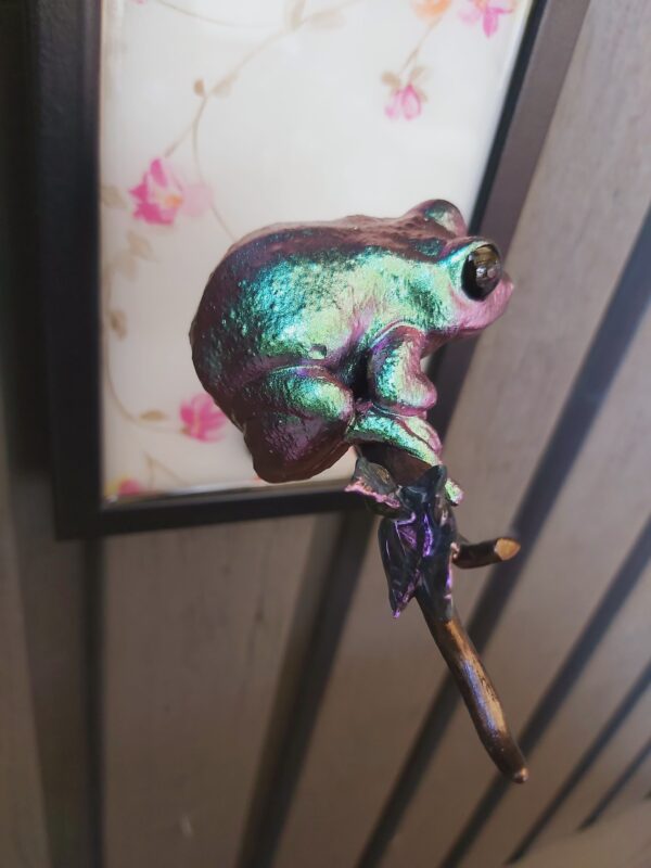 Maroon-eyed frog facing sideways - Image 2