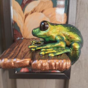 Maroon-eyed frog on shelf