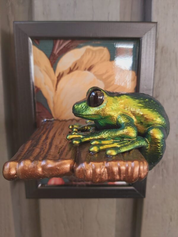 Maroon-eyed frog on shelf - Image 3