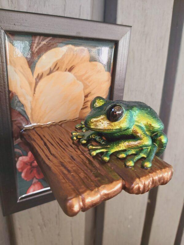Maroon-eyed frog on shelf - Image 4