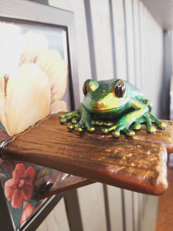 Maroon-eyed frog on shelf - Image 5