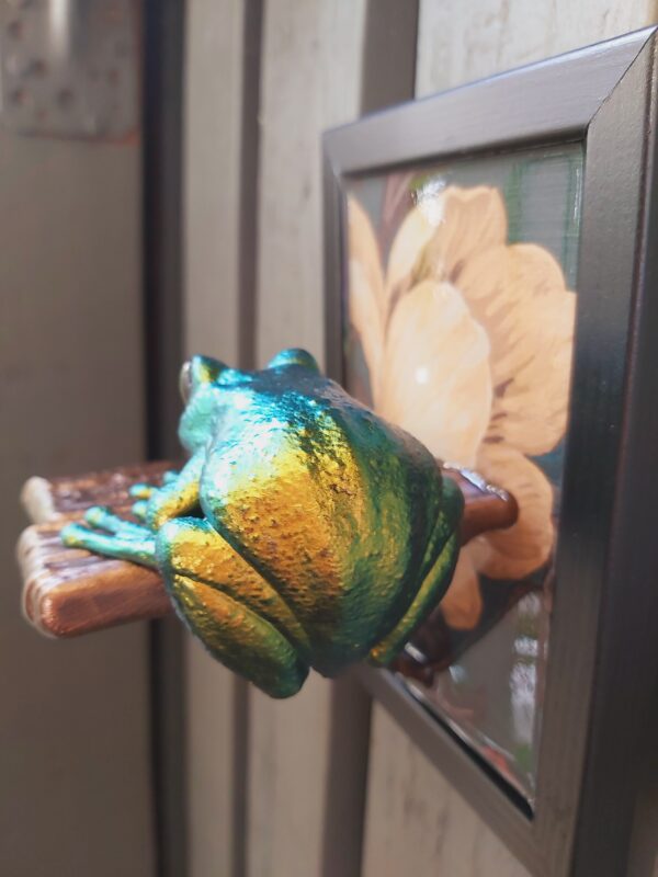Maroon-eyed frog on shelf - Image 7