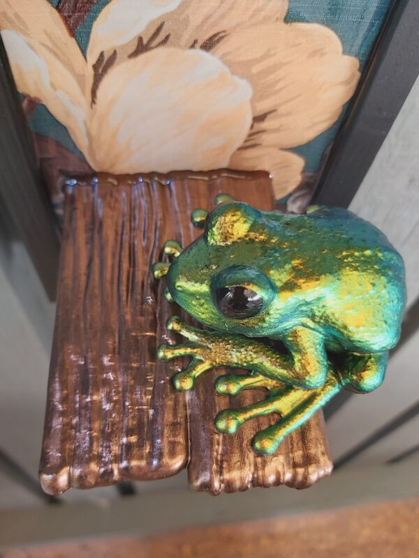 Maroon-eyed frog on shelf - Image 2