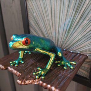 Red-eyed tree frog on shelf (large)