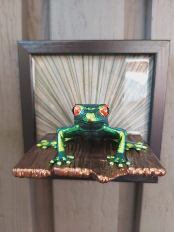 Red-eyed tree frog on shelf (large) - Image 4