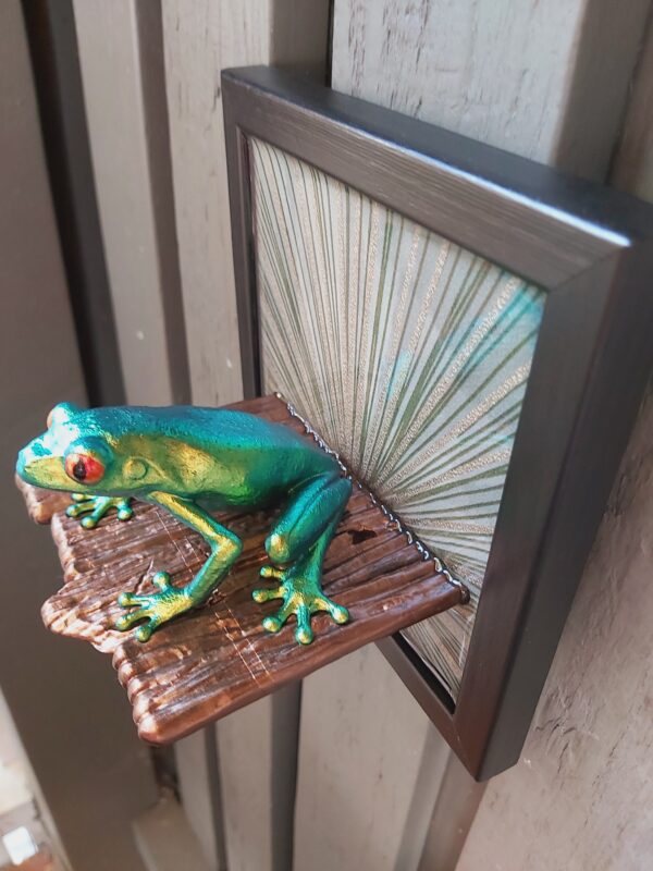 Red-eyed tree frog on shelf (large) - Image 6