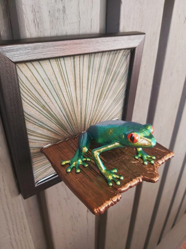 Red-eyed tree frog on shelf (large) - Image 7