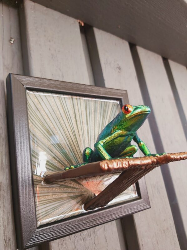 Red-eyed tree frog on shelf (large) - Image 2