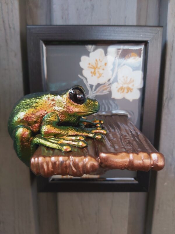 Maroon-eyed frog on shelf - Image 2