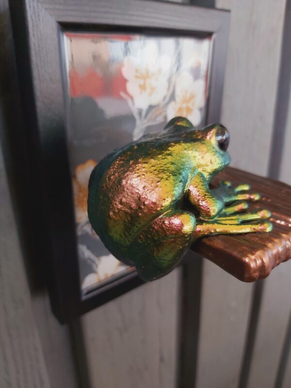 Maroon-eyed frog on shelf - Image 3