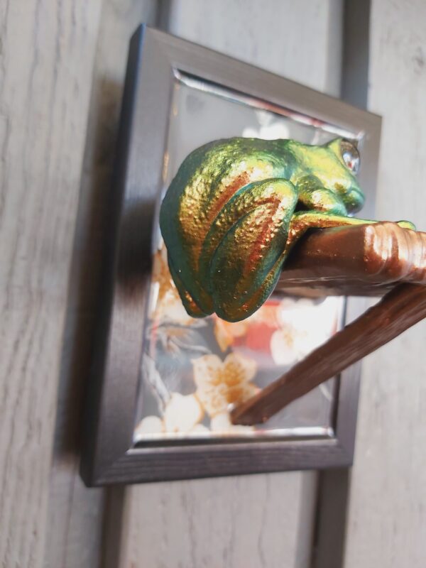 Maroon-eyed frog on shelf - Image 4