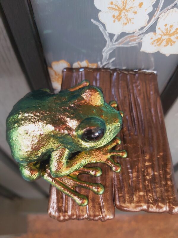 Maroon-eyed frog on shelf - Image 6