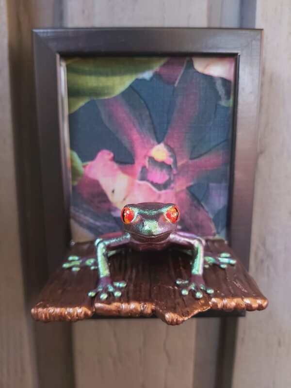 Red-eyed tree frog on shelf (medium) - Image 3