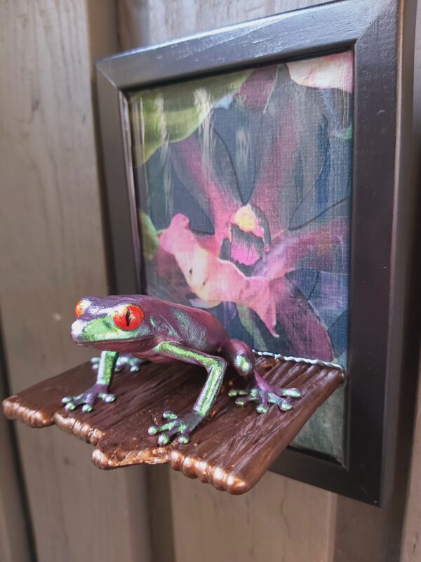 Red-eyed tree frog on shelf (medium) - Image 4