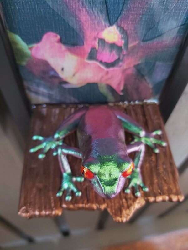 Red-eyed tree frog on shelf (medium) - Image 6