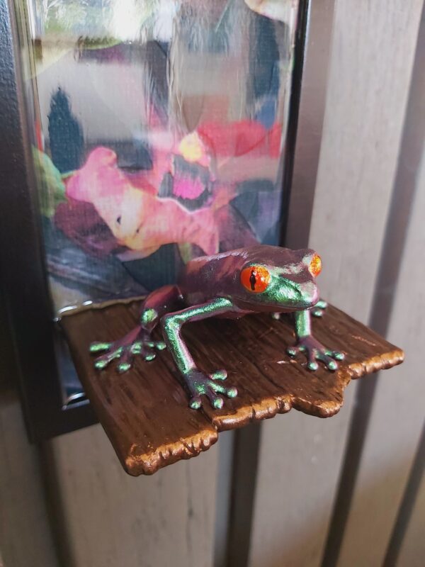 Red-eyed tree frog on shelf (medium) - Image 7