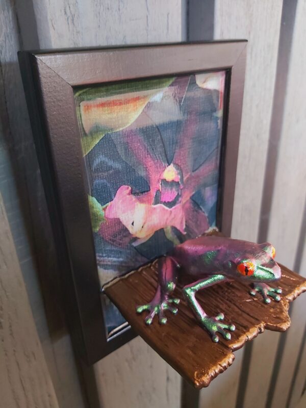 Red-eyed tree frog on shelf (medium) - Image 8