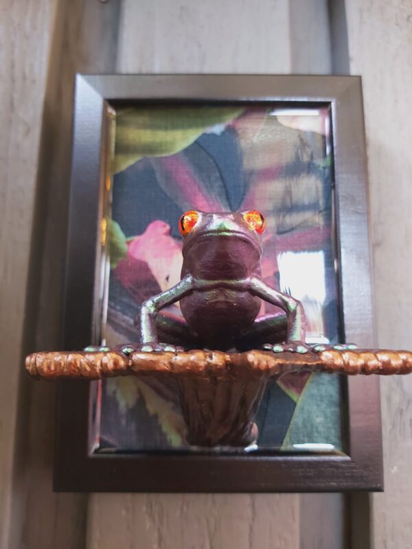 Red-eyed tree frog on shelf (medium) - Image 2