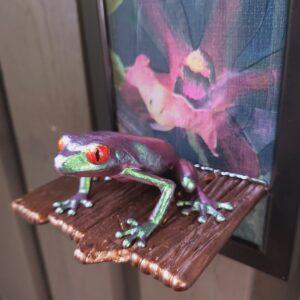 Red-eyed tree frog on shelf (medium)