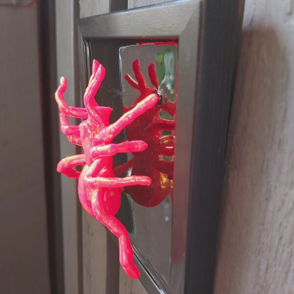 Tarantula - Image 3