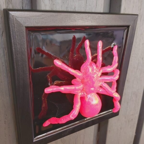 Tarantula - Image 5